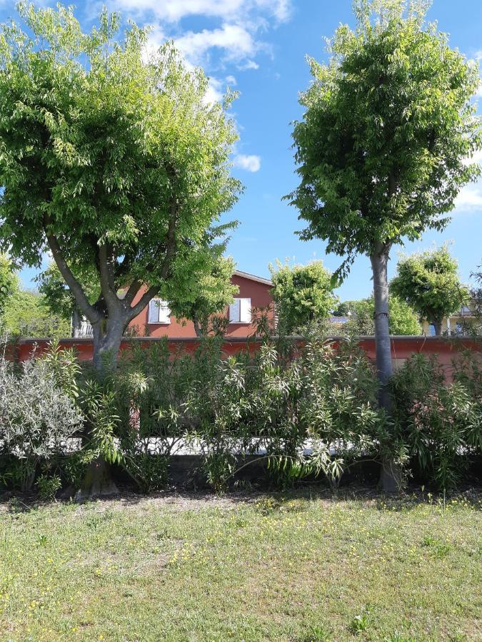 Pace, Luminosita E Comodita A Due Passi Dal Garda Volta Mantovana Eksteriør bilde