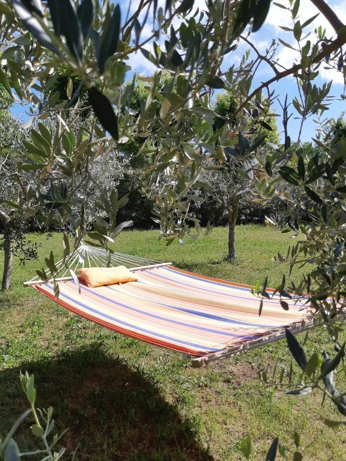 Pace, Luminosita E Comodita A Due Passi Dal Garda Volta Mantovana Eksteriør bilde