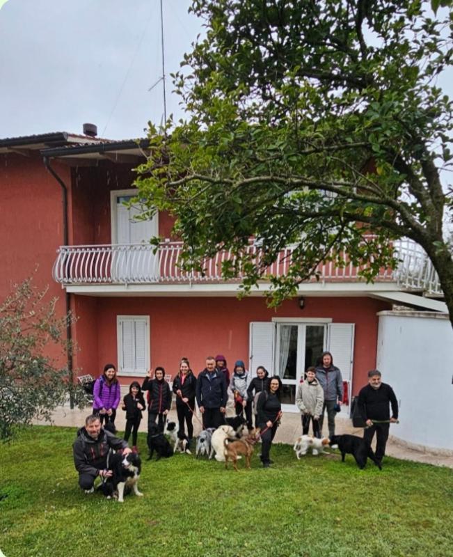 Pace, Luminosita E Comodita A Due Passi Dal Garda Volta Mantovana Eksteriør bilde